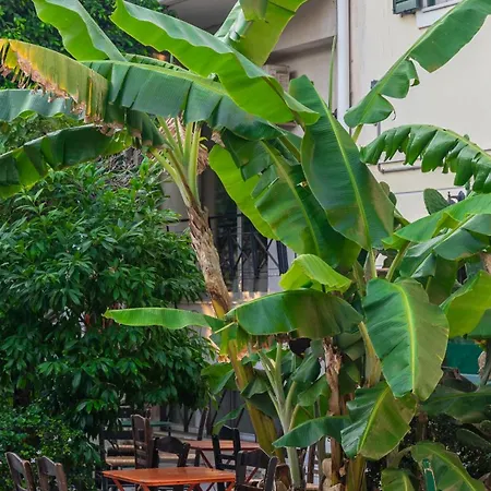 Luxury 1br Flat In The Heart Of Apartment *